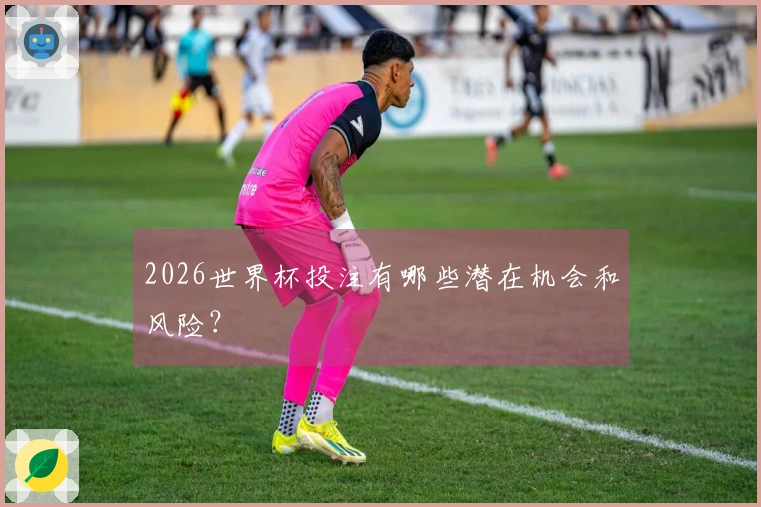 2026世界杯投注有哪些潜在机会和风险？