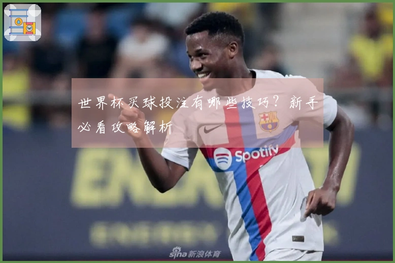 世界杯买球投注有哪些技巧？新手必看攻略解析