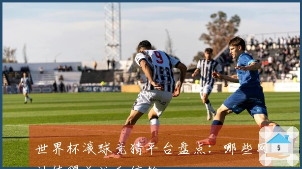 世界杯滚球竞猜平台盘点：哪些网站值得关注和信赖