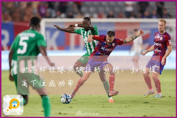 世界杯让球买球技巧分析，如何提高下注成功率