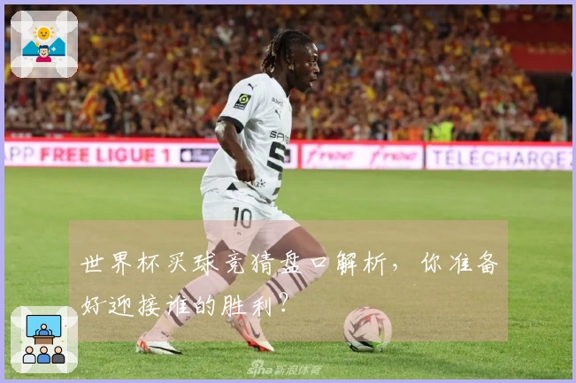 世界杯买球竞猜盘口解析，你准备好迎接谁的胜利？