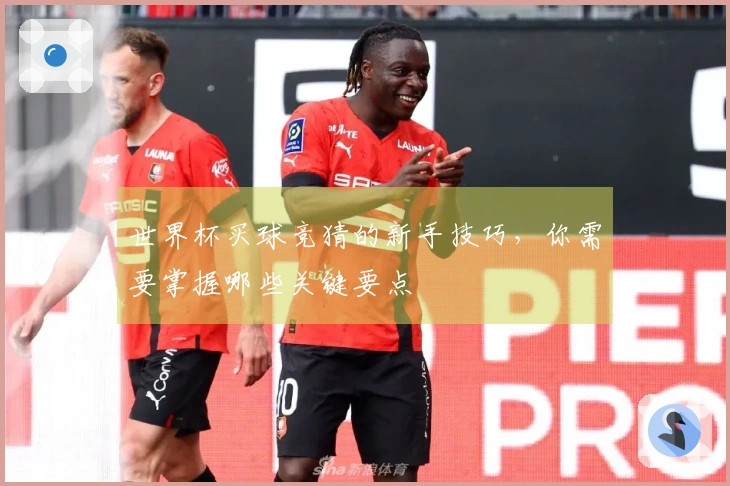 世界杯买球竞猜的新手技巧，你需要掌握哪些关键要点