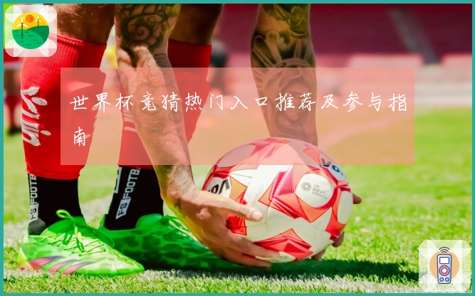 世界杯竞猜热门入口推荐及参与指南