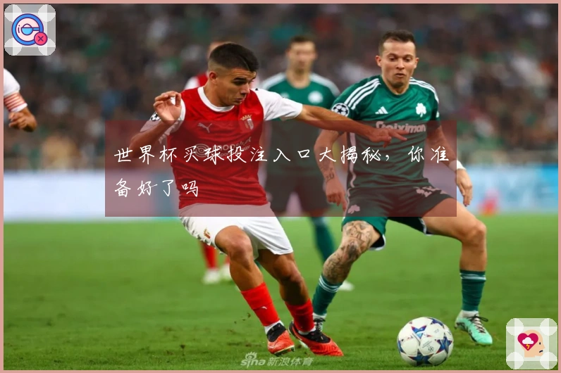 世界杯买球投注入口大揭秘，你准备好了吗