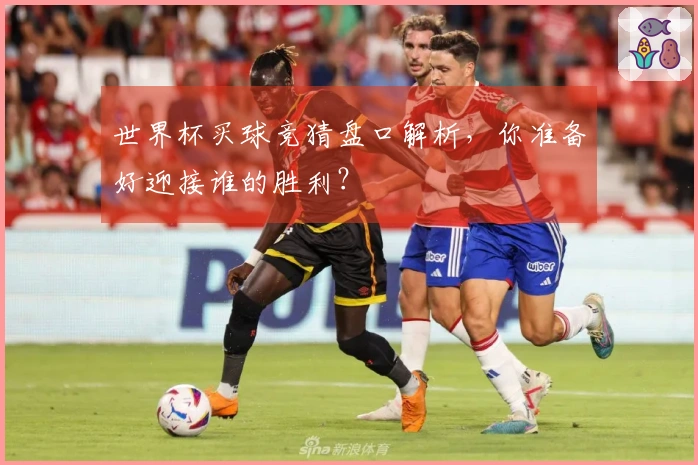 世界杯买球竞猜盘口解析，你准备好迎接谁的胜利？