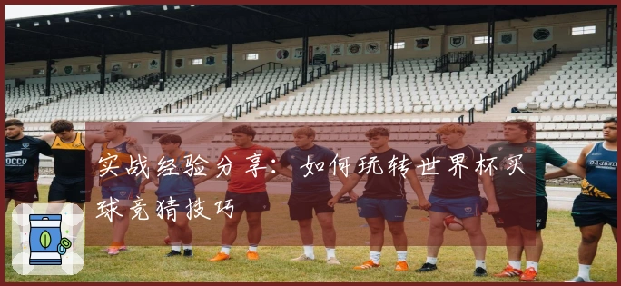 实战经验分享：如何玩转世界杯买球竞猜技巧