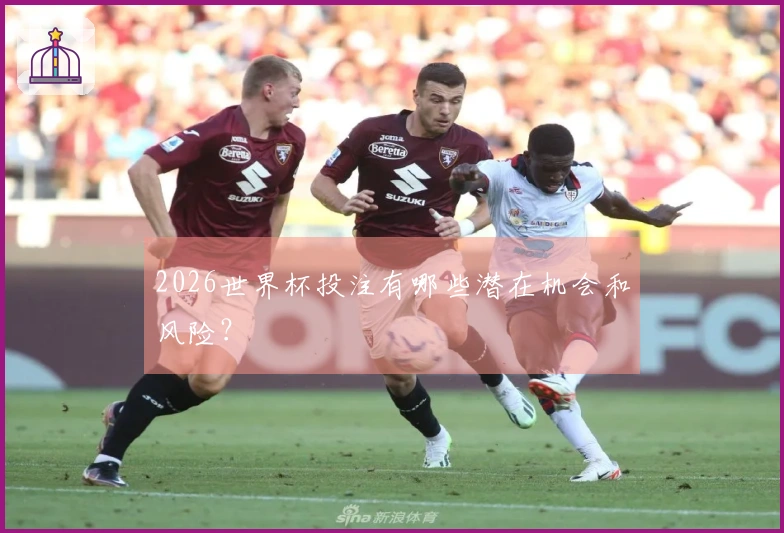 2026世界杯投注有哪些潜在机会和风险？