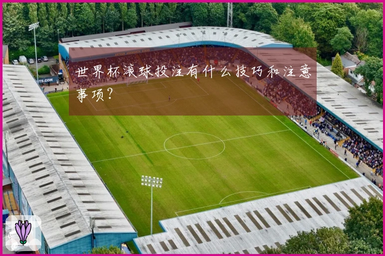 世界杯滚球投注有什么技巧和注意事项？