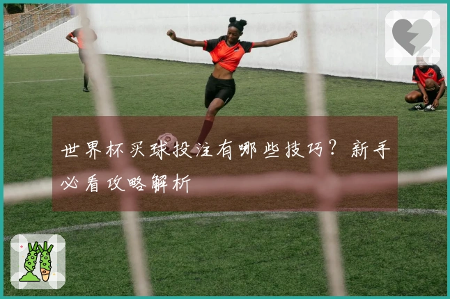 世界杯买球投注有哪些技巧？新手必看攻略解析