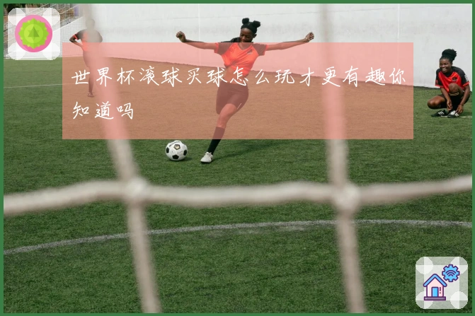 世界杯滚球买球怎么玩才更有趣你知道吗