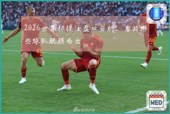 2026世界杯投注盘口分析：看好哪些球队脱颖而出