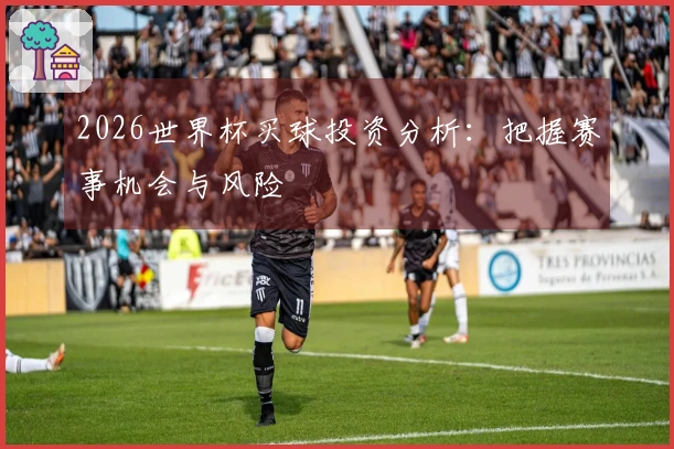 2026世界杯买球投资分析：把握赛事机会与风险