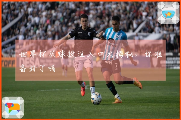 世界杯买球投注入口大揭秘，你准备好了吗