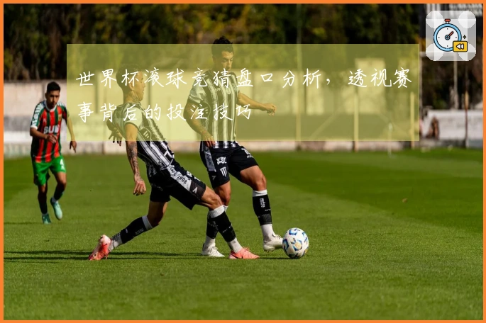 世界杯滚球竞猜盘口分析，透视赛事背后的投注技巧