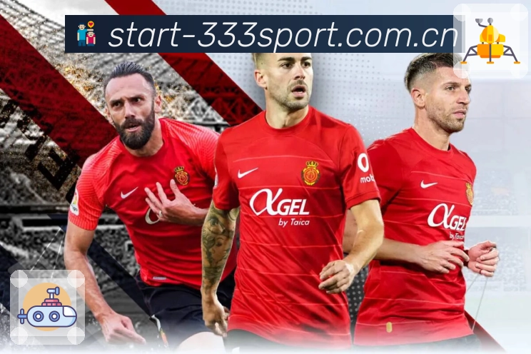 稳定工具 - 线路检测与备用入口